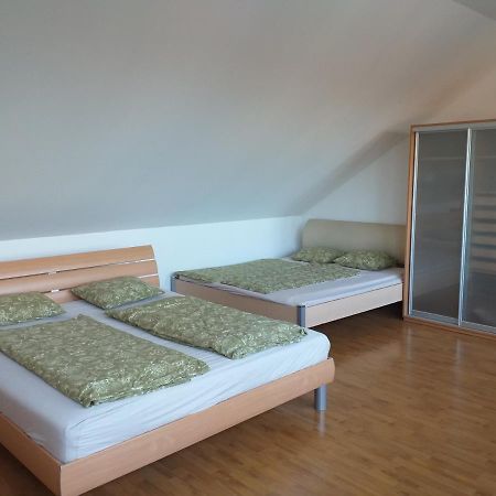 Villa Kysucka 塞内奇 外观 照片