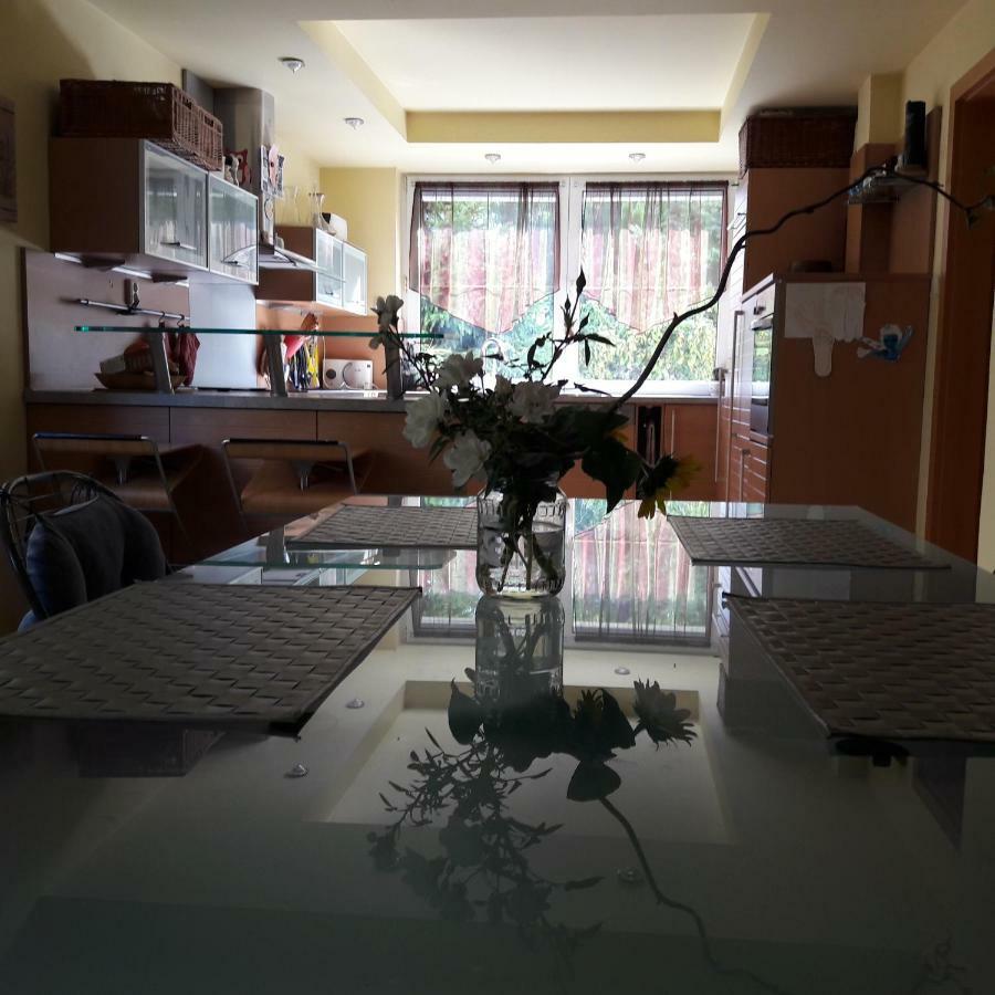 Villa Kysucka 塞内奇 外观 照片